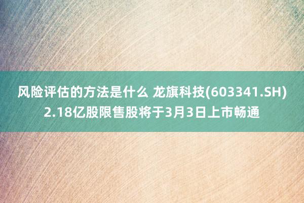 风险评估的方法是什么 龙旗科技(603341.SH)2.18亿股限售股将于3月3日上市畅通