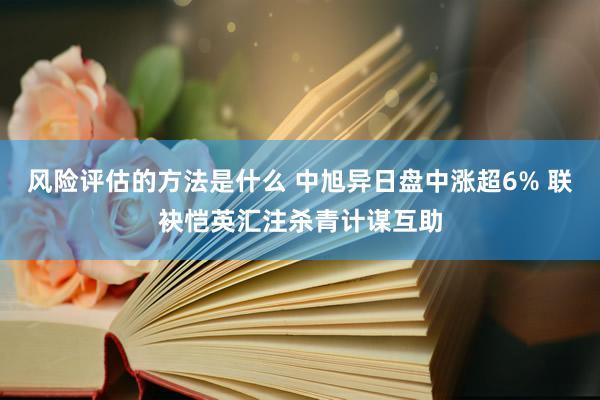 风险评估的方法是什么 中旭异日盘中涨超6% 联袂恺英汇注杀青计谋互助