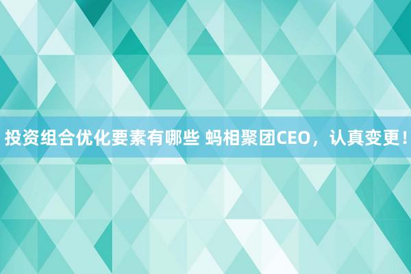 投资组合优化要素有哪些 蚂相聚团CEO，认真变更！