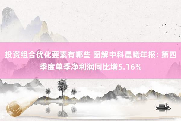 投资组合优化要素有哪些 图解中科晨曦年报: 第四季度单季净利润同比增5.16%