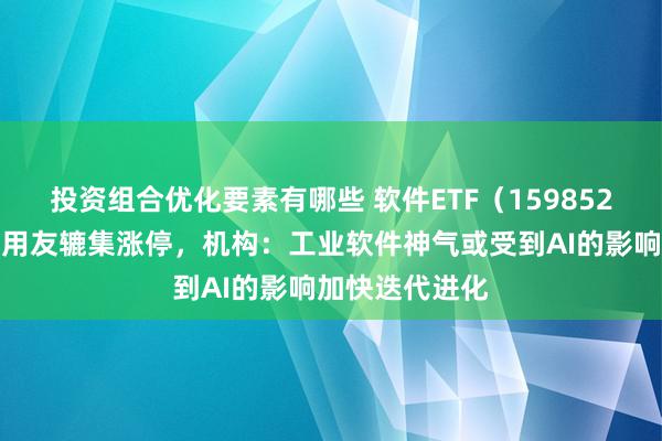 投资组合优化要素有哪些 软件ETF（159852）交投活跃，用友辘集涨停，机构：工业软件神气或受到AI的影响加快迭代进化