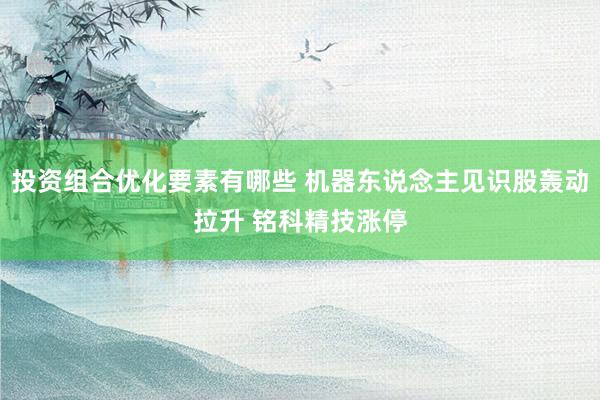 投资组合优化要素有哪些 机器东说念主见识股轰动拉升 铭科精技涨停