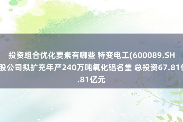 投资组合优化要素有哪些 特变电工(600089.SH)控股公司拟扩充年产240万吨氧化铝名堂 总投资67.81亿元