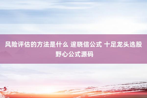 风险评估的方法是什么 邃晓信公式 十足龙头选股 野心公式源码