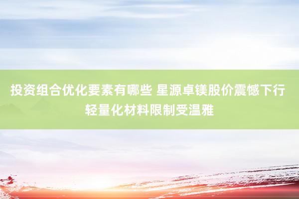 投资组合优化要素有哪些 星源卓镁股价震憾下行 轻量化材料限制受温雅