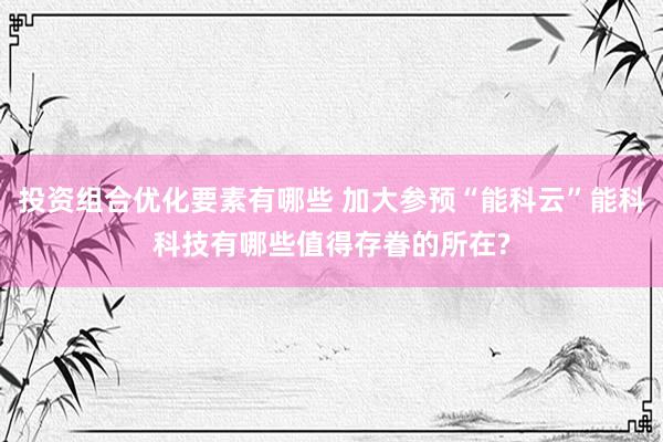 投资组合优化要素有哪些 加大参预“能科云”能科科技有哪些值得存眷的所在?