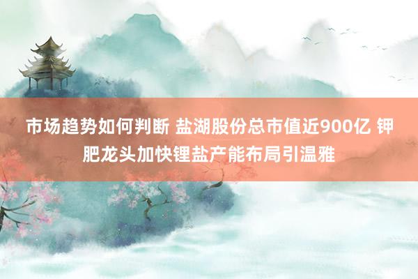 市场趋势如何判断 盐湖股份总市值近900亿 钾肥龙头加快锂盐产能布局引温雅